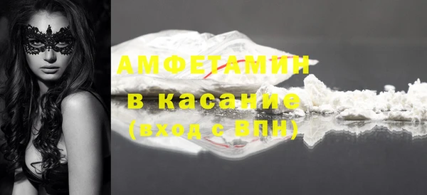 стаф Алзамай