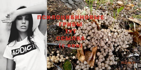скорость Алексин