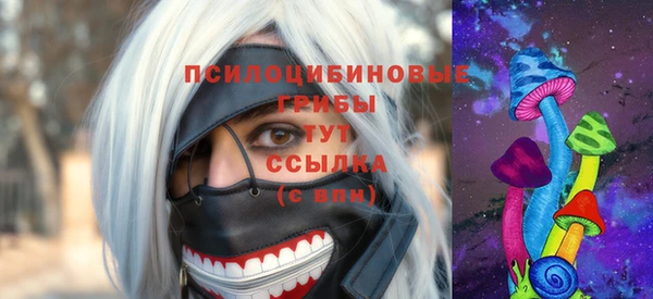 стаф Алзамай