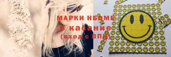 стаф Алзамай