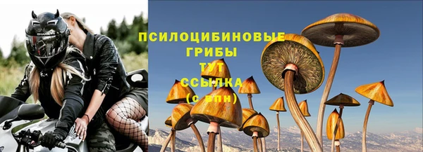 скорость Алексин