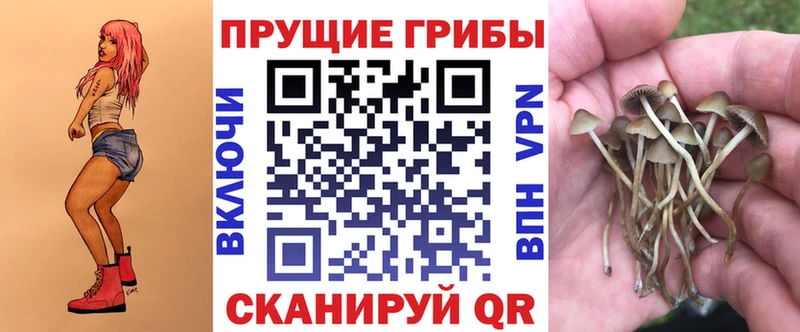Галлюциногенные грибы ЛСД omg рабочий сайт Алзамай закладки